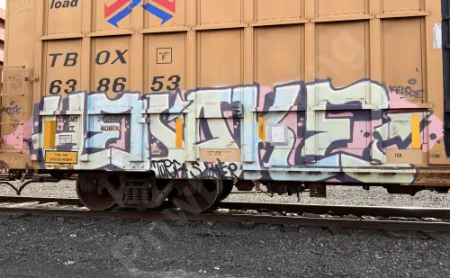 TBOX638653