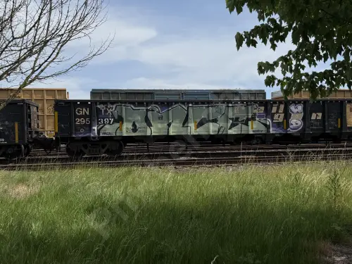 GNTX295397