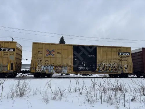 FBOX505011