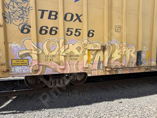 TBOX666556