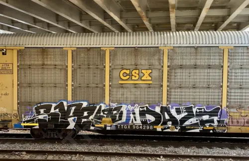 TTGX964298
