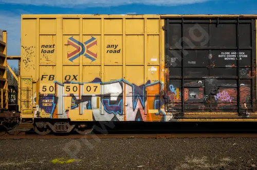 FBOX505007