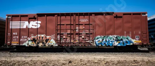 NS470230