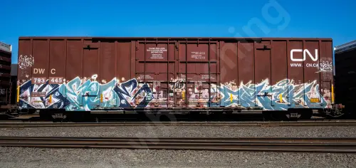 DWC793445
