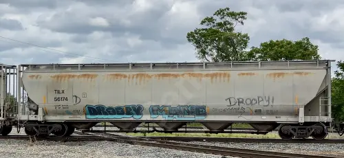Train photo