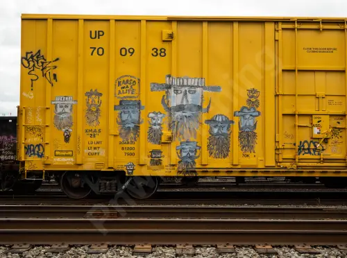 UP700938