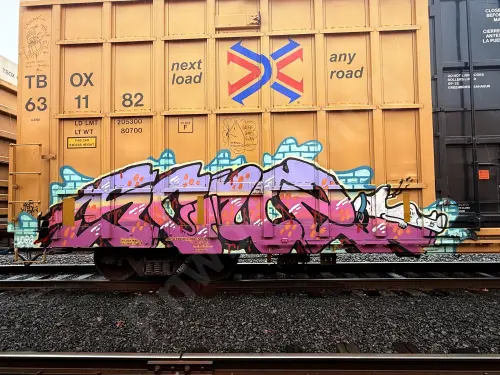 TBOX631182