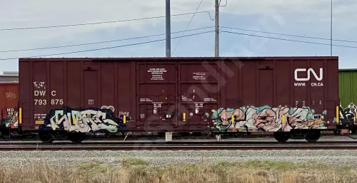 DWC793875