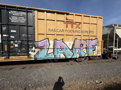 TBOX638192