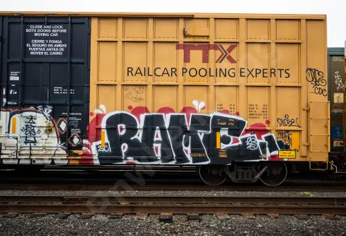 TBOX642863
