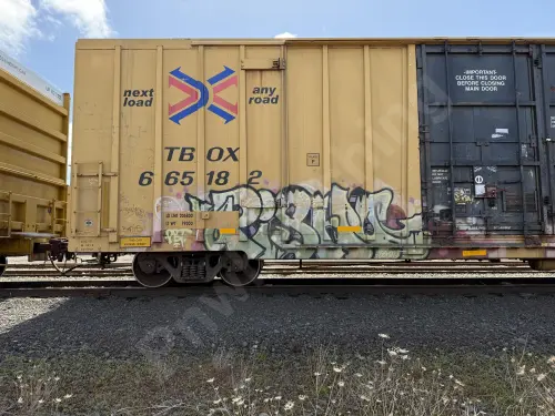 TBOX665182