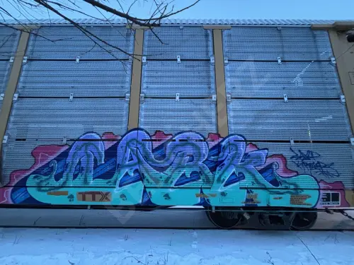 TTGX952518
