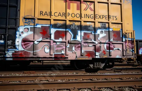 TBOX631428