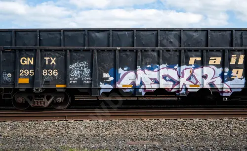 GNTX295836