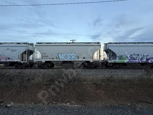Train photo