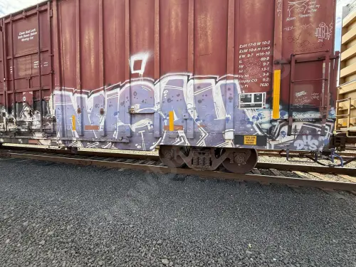 CP218204