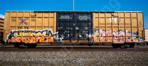 TBOX673450