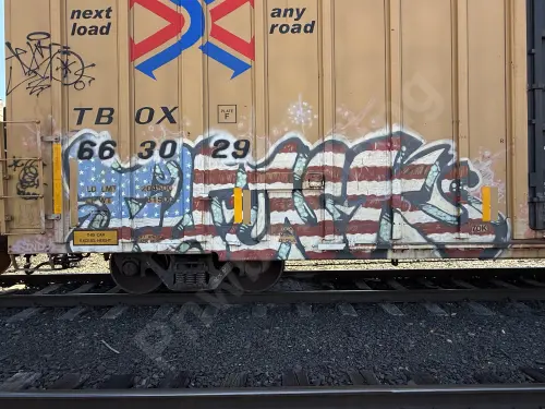 TBOX663029