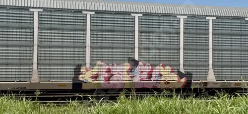 Train photo
