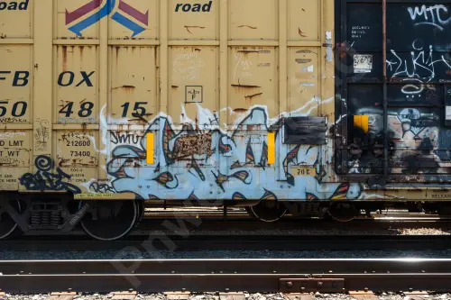 FBOX504815