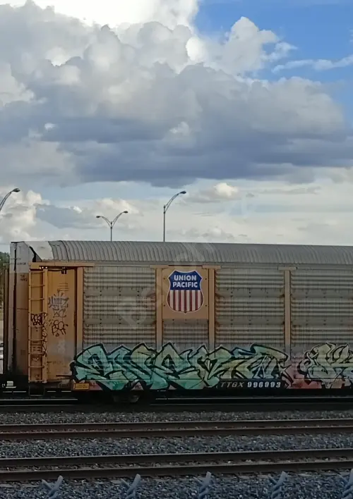 TTGX996993