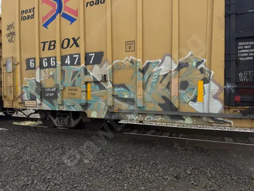 TBOX666477
