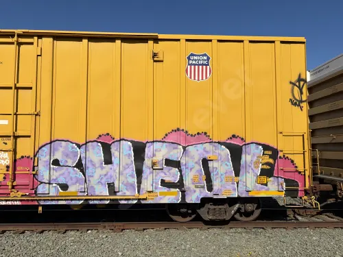 Train photo