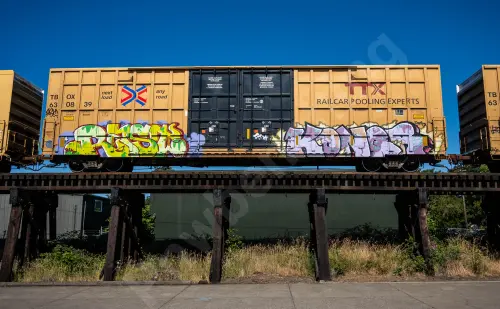 TBOX630839