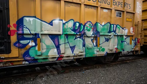 TBOX634598