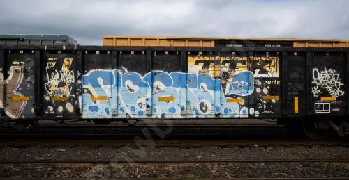 GNTX297059