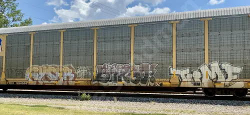 TTGX994648