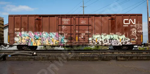 Train photo