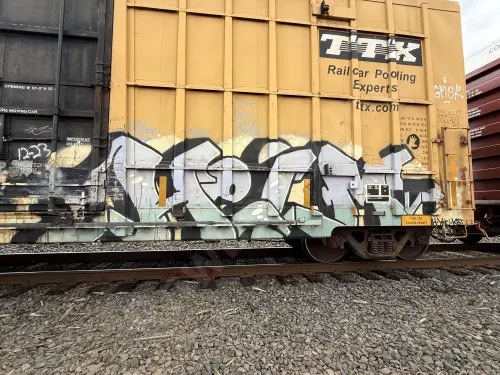 FBOX502456