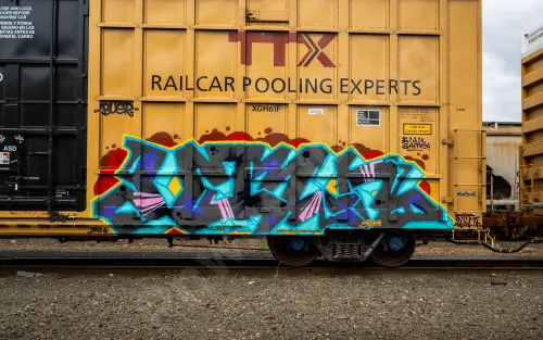 TBOX636036