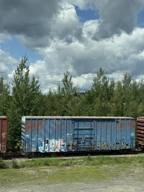 UCRY91270