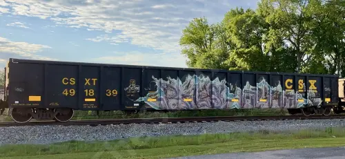 Train photo