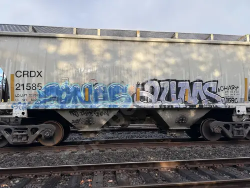CRDX21585