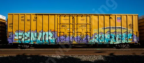 UP700009