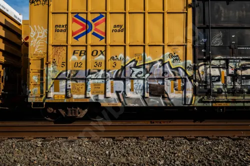 FBOX502383