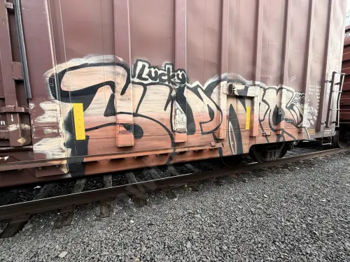 DWC794894