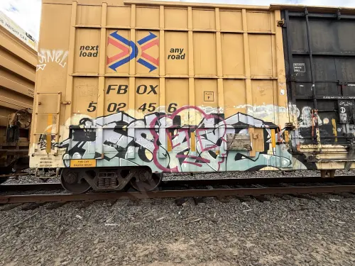 FBOX502456