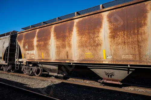 IC799802