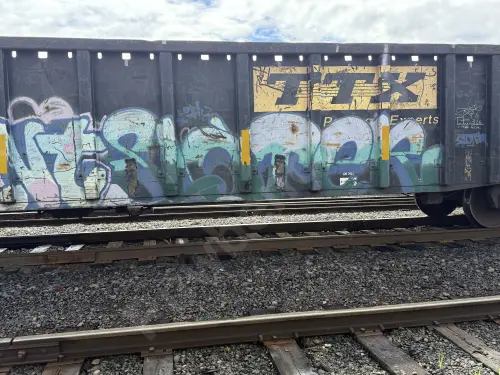 GNTX297177
