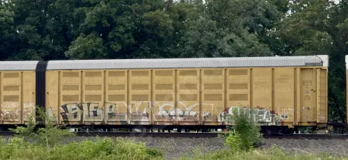 NS110461