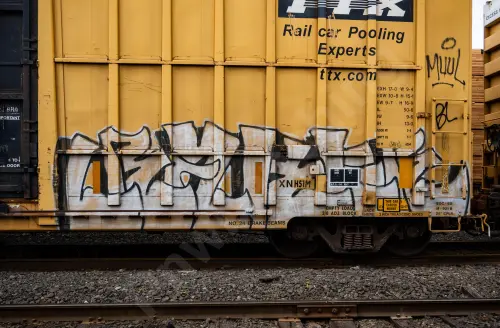 FBOX502746