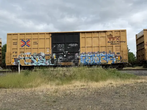 FBOX505403