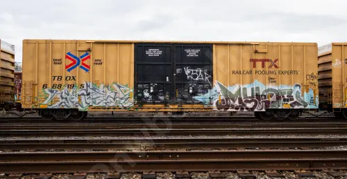 TBOX668195