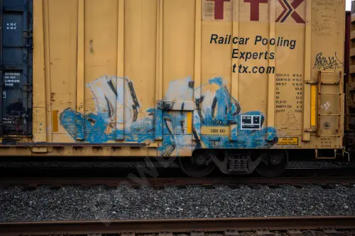 TBOX665196