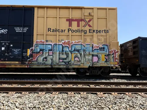 FBOX506225
