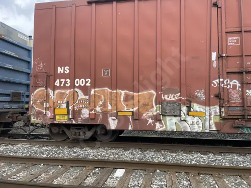 NS473002